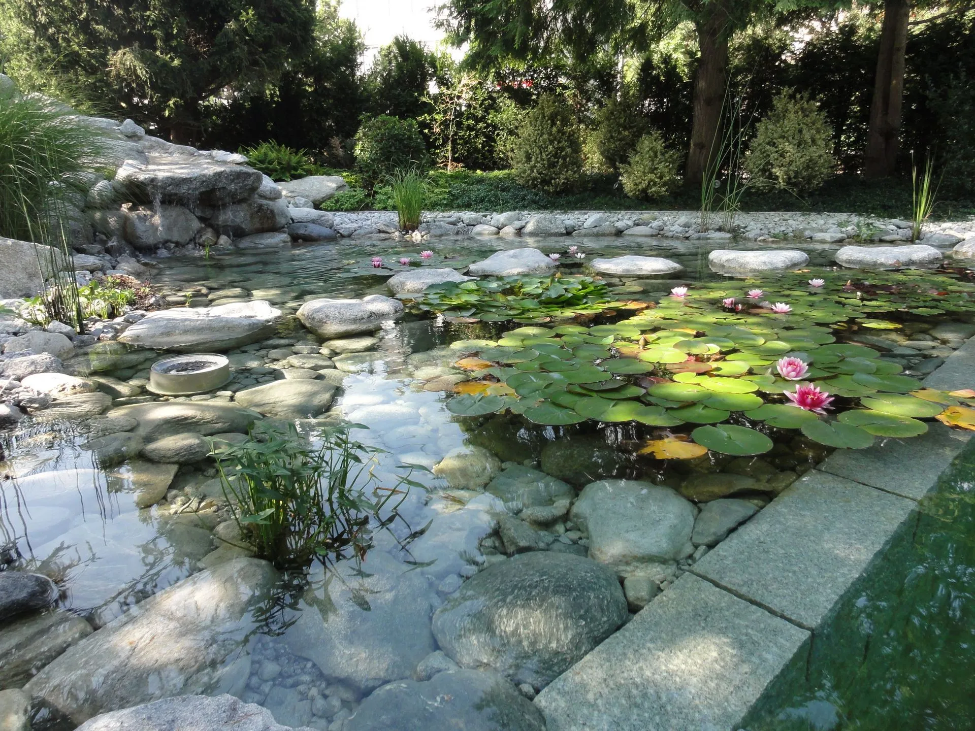 Kleinpeter Gartenbau AG seit über 90 Jahren Ihr Partner für Gartenbau - Gartenpflege - Steinarbeiten - Teich- und Poolbau